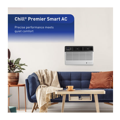Friedrich Chill Premier 10,000 BTU 115v Cooling Only Window & Wall Unit